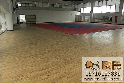 體育運(yùn)動(dòng)實(shí)木地板,體育實(shí)木地板,體育運(yùn)動(dòng)地板 體育運(yùn)動(dòng)實(shí)木地板,體育實(shí)木地板,體育運(yùn)動(dòng)地板