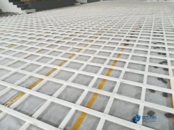 25���w�����^�ذ�S�҈�r