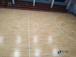 籃球場(chǎng)館木地板哪個(gè)牌子較環(huán)保