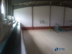 常用松木舞臺運動體育木地板哪個牌子較環保