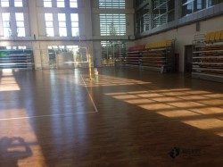 籃球體育木地板哪個(gè)牌子好