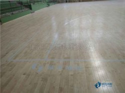 實木運動籃球地板維護保養