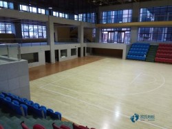 高品質運動木地板環保